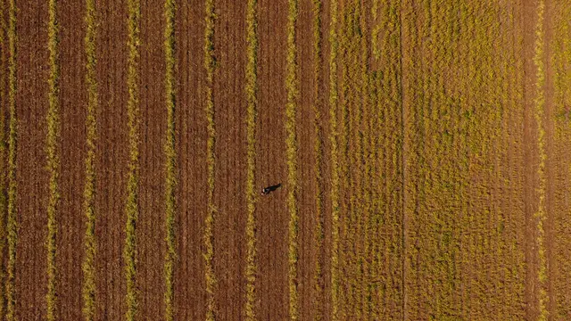 Foto aérea SkyDrone Indaiatuba