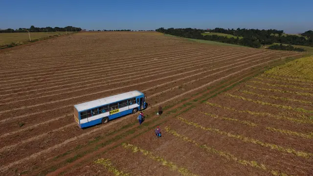 Foto aérea SkyDrone Indaiatuba