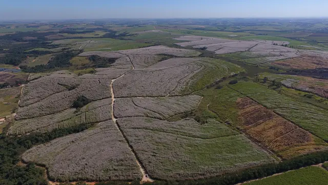 Foto aérea SkyDrone Indaiatuba