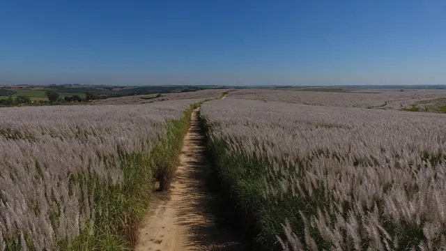 Foto aérea SkyDrone Indaiatuba